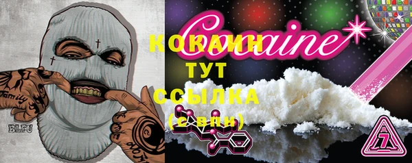 бошки Бронницы