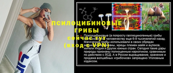 твердый Богородицк