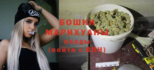 бошки Бронницы